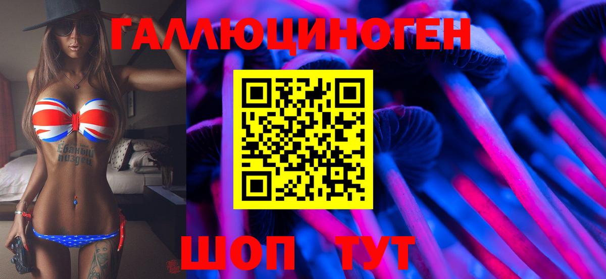 Псилоцибиновые грибы Psilocybine cubensis  Вход с VPN  Котельники 